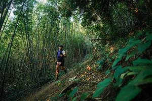 BIB: 
                            <button type="button" onclick="openModal(28141384)" class="btn btn-primary btn-sm float-right btn-popup" data-toggle="modal" data-target=".modal-high-quality">
                        <i class="fas fa-shopping-cart"></i> Add to Cart
                    </button>
                                            <button type="button" onclick="isThisMe(28141384, true)" class="btn btn-success btn-sm float-right btn-popup btn-isme hidden" data-toggle="tooltip" data-placement="bottom" title="นี่คือรูปของคุณใช่ไหม คลิกที่นี่เพื่อเอาเข้าอัลบั้ม">
                        <i class="fas fa-plus"></i> Add to album
                    </button>
                    <button type="button" onclick="isThisMe(28141384, false)" class="btn btn-warning btn-sm float-right btn-popup btn-isnotme hidden">
                        <i class="fas fa-ban"></i> Remove from album
                    </button>